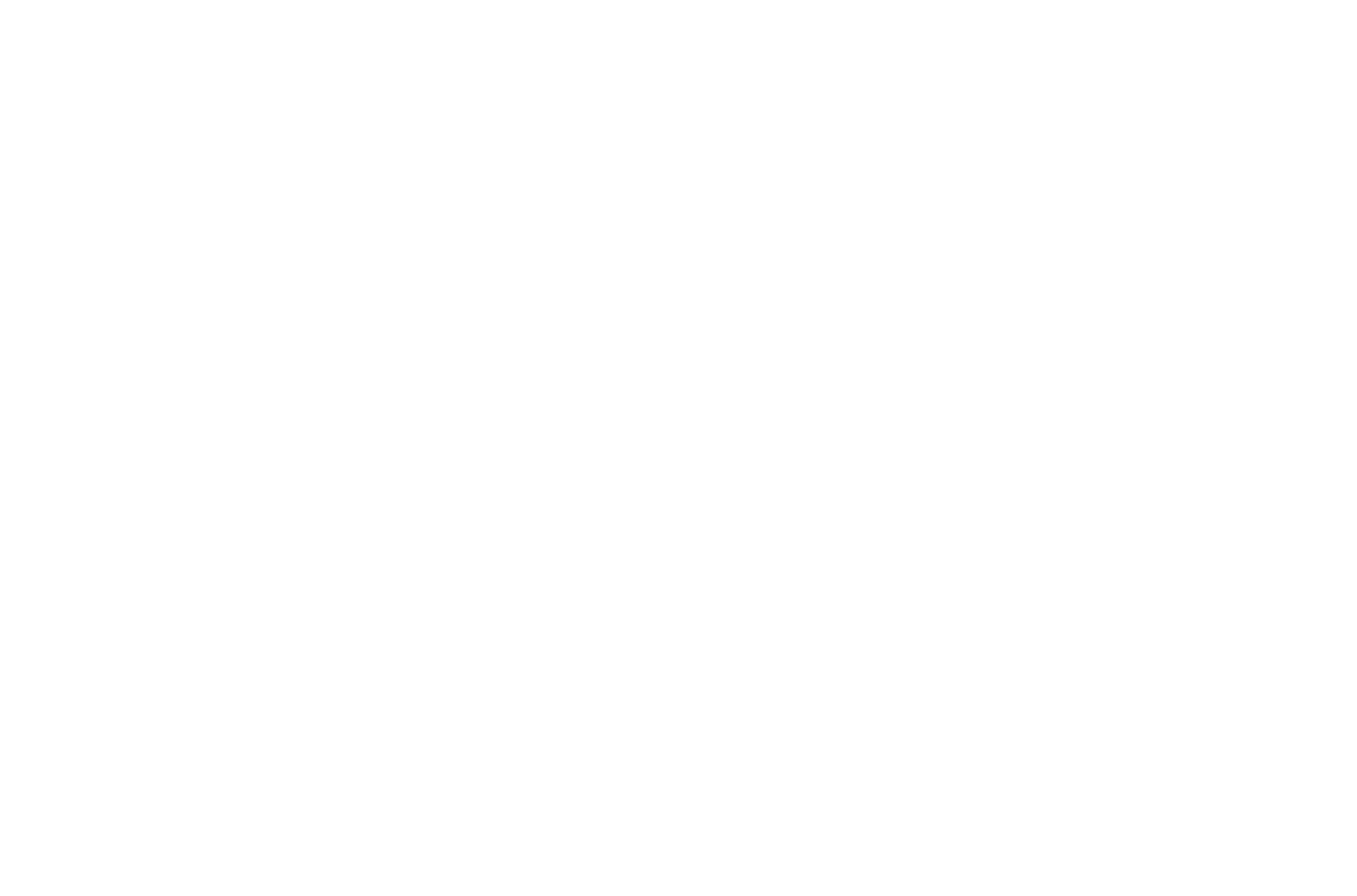 NanoImaging Services logo, "NIS" in large font with "NanoImaging Services" in smaller text, and 5 hexagons in the upper left forming an arch.